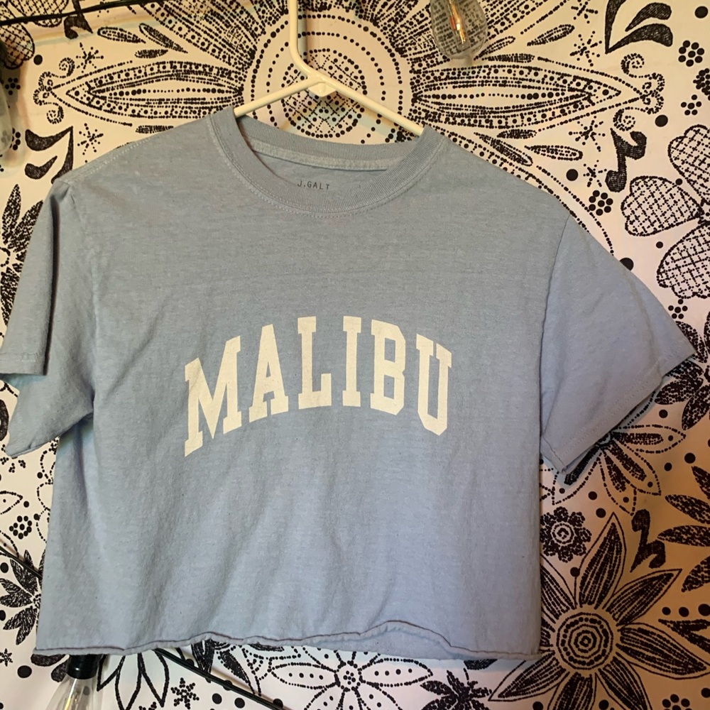 Pacsun Crop Top